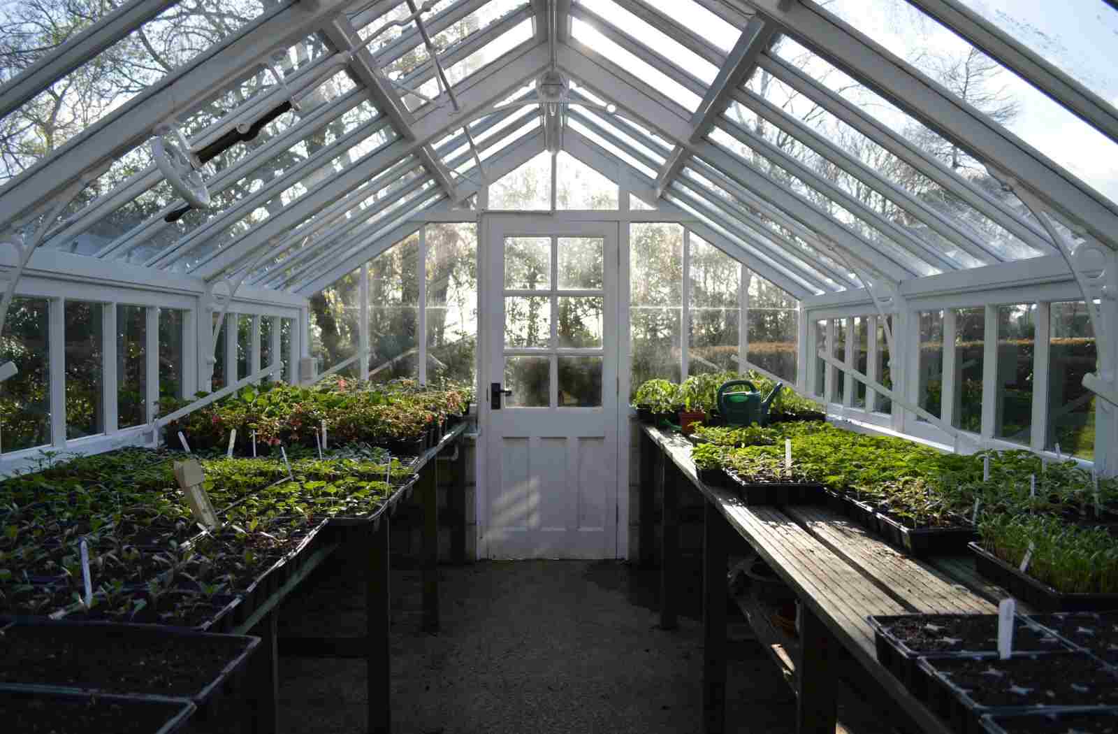 I Need To Build A New House And Greenhouse I Need To Build A New House And Greenhouse