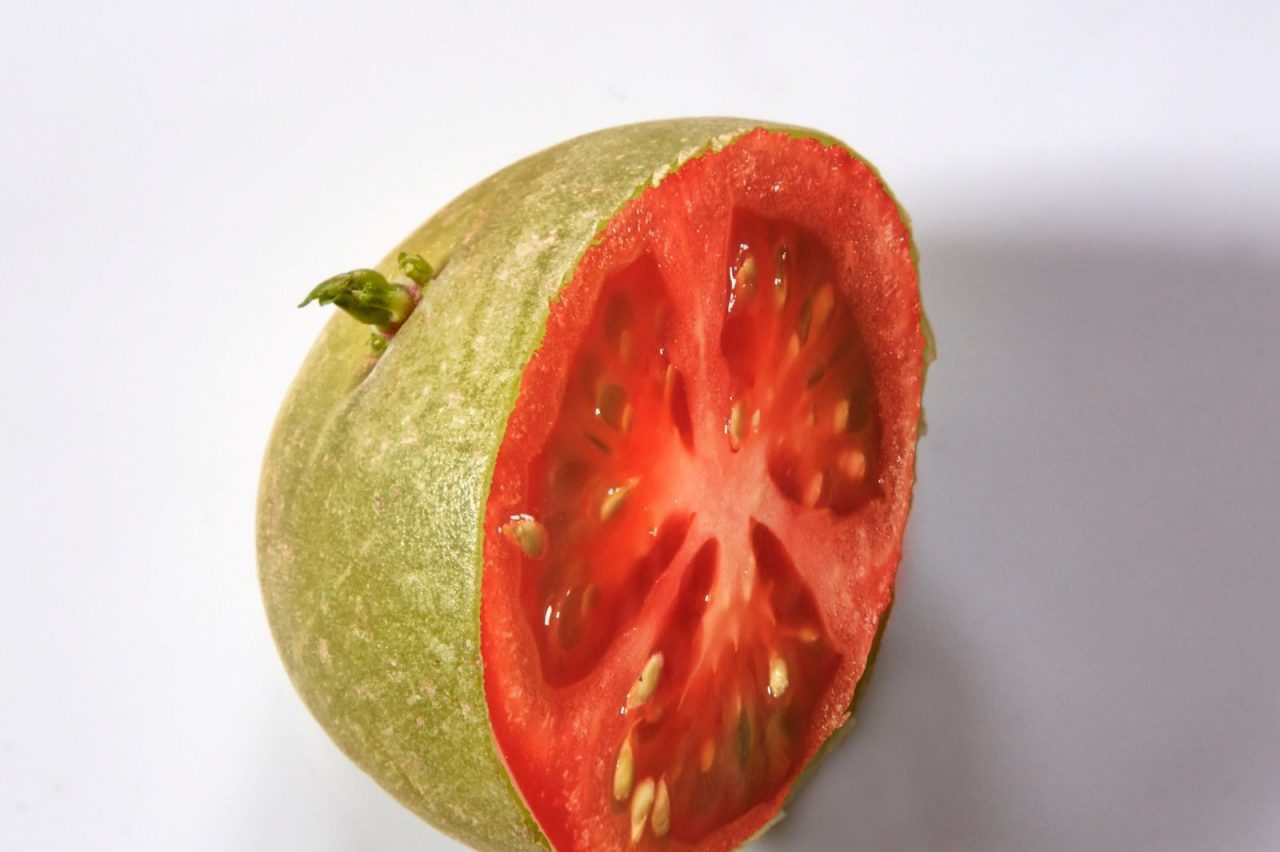 not a pomato fruit